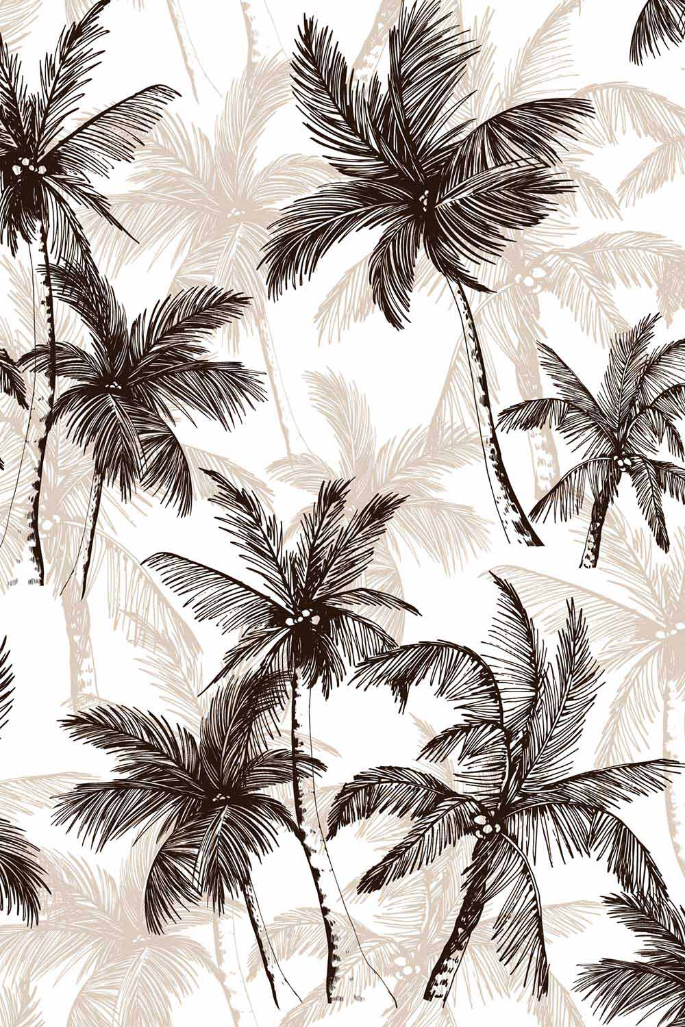 palmsmono2-1000x1500