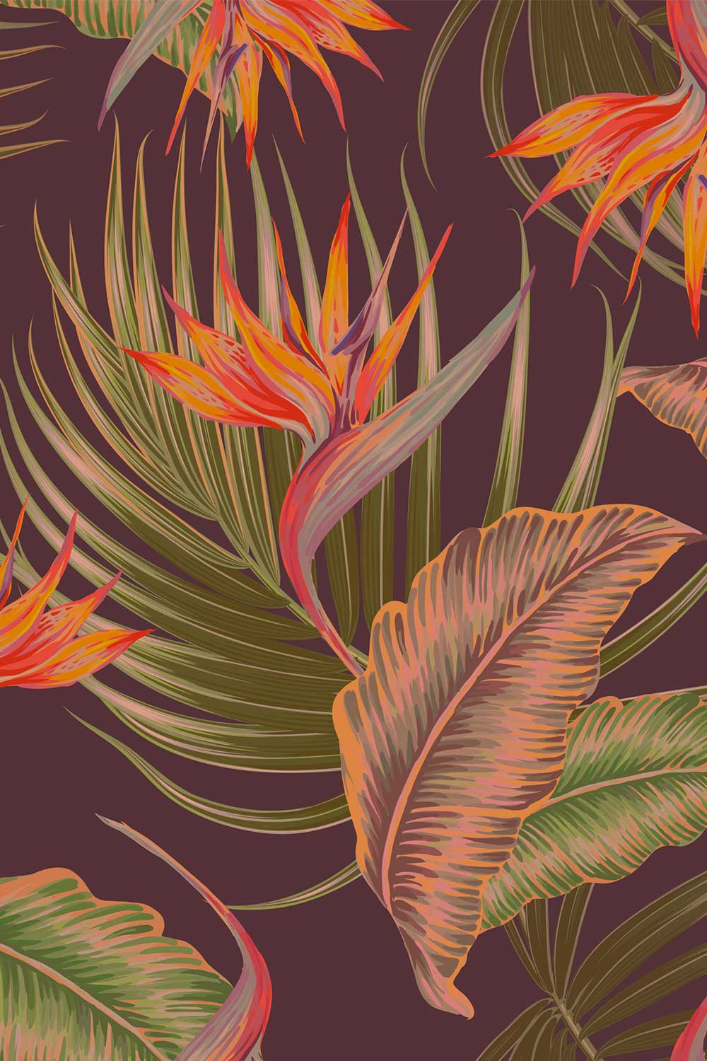 strelitzia-1000x1500
